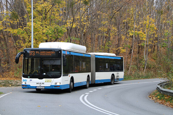 MAN LION`S CITY G CNG PN