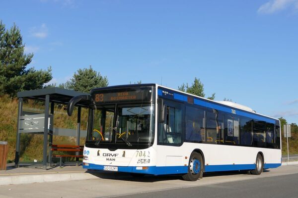 MAN LION`S CITY SN